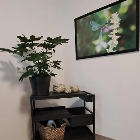 Апартаменты Waldstadt-apartments