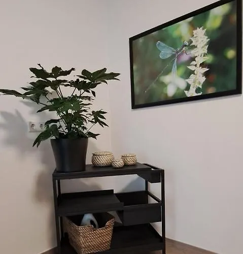 Appartement Waldstadt-apartments